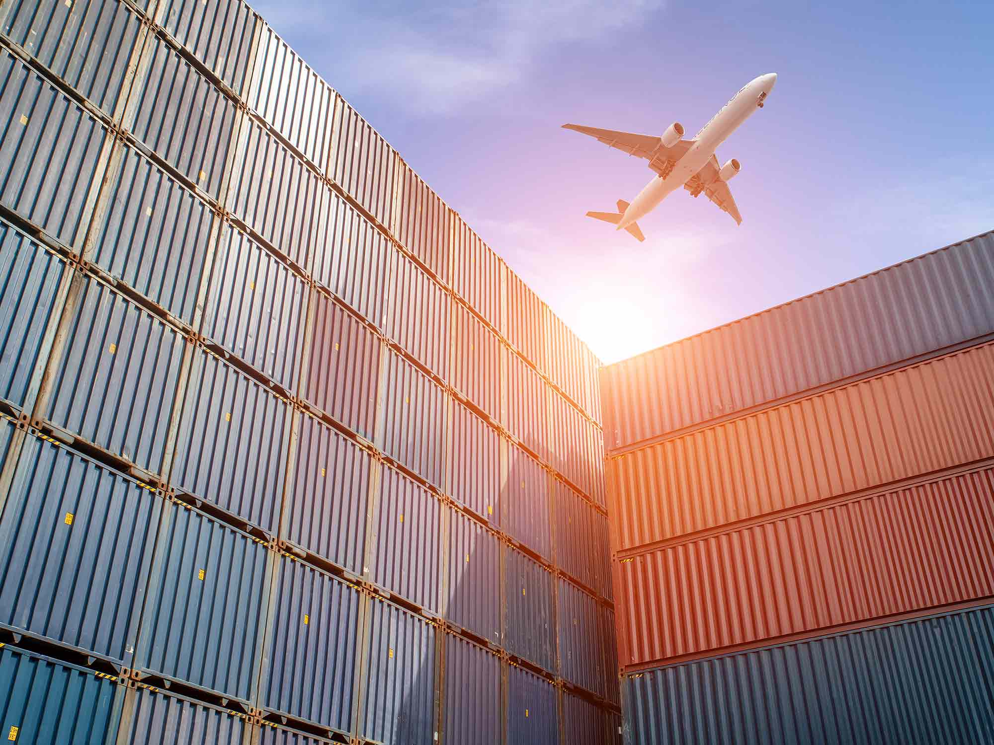Export Transactions