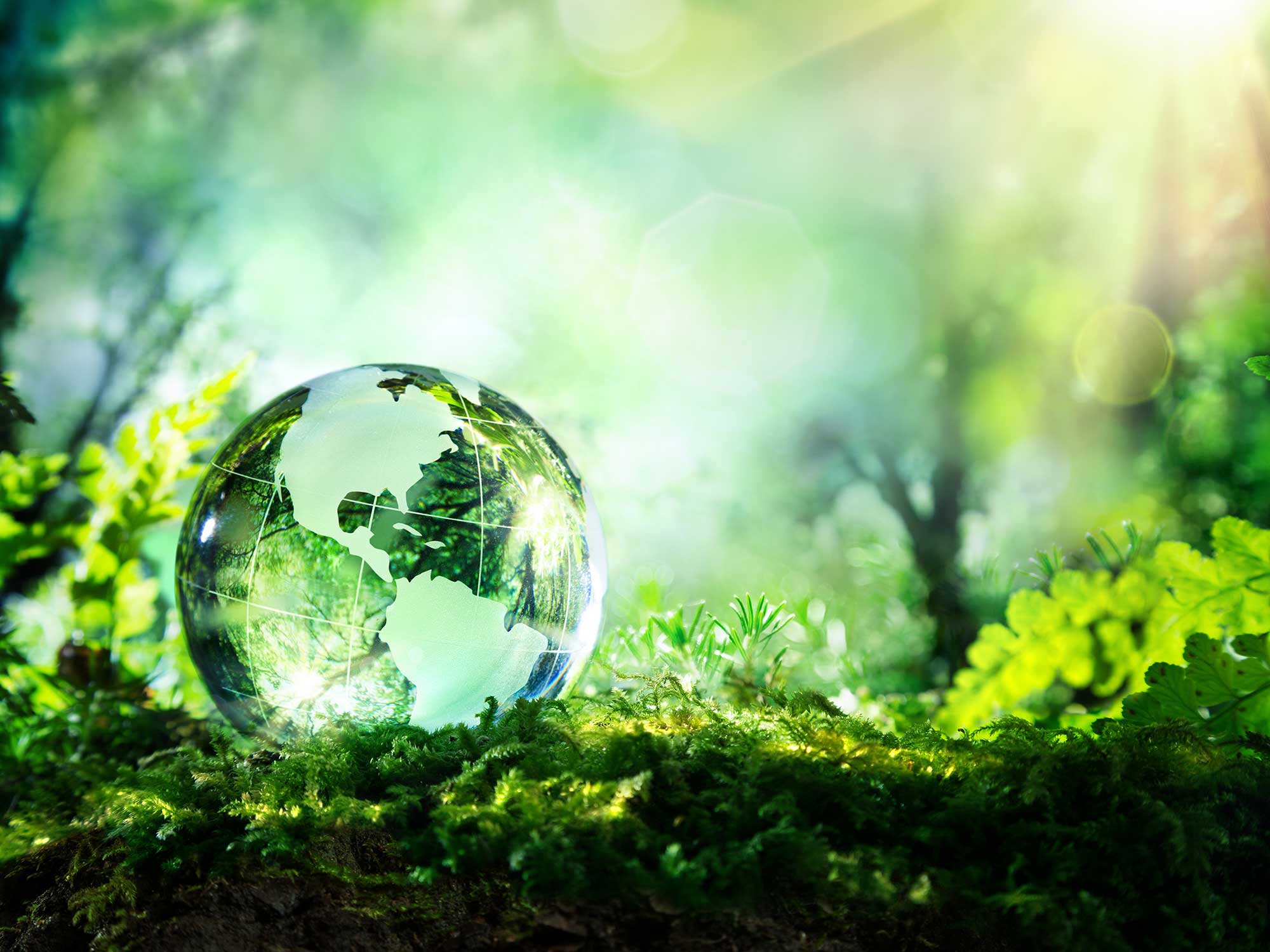 Sustainability Reporting